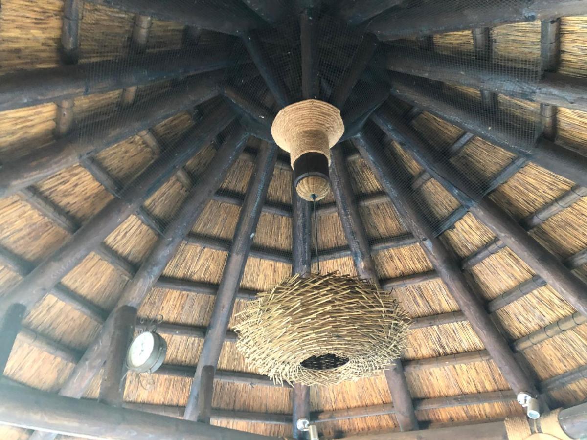 Villa Campito El Puerto de Santa María Dış mekan fotoğraf